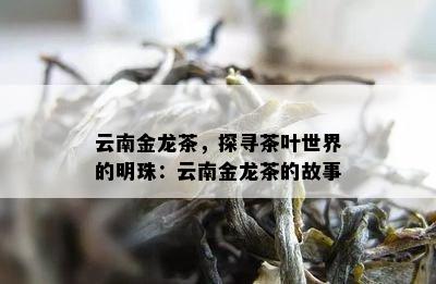 云南金龙茶，探寻茶叶世界的明珠：云南金龙茶的故事