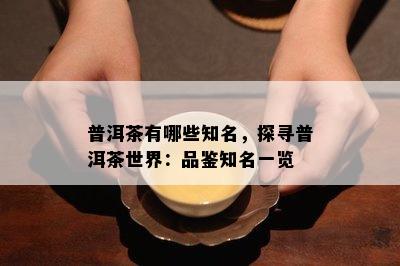 普洱茶有哪些知名，探寻普洱茶世界：品鉴知名一览