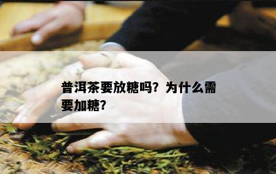 普洱茶要放糖吗？为什么需要加糖？