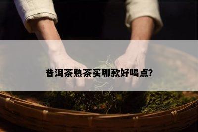 普洱茶熟茶买哪款好喝点？