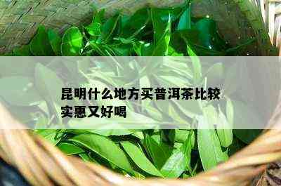 昆明什么地方买普洱茶比较实惠又好喝