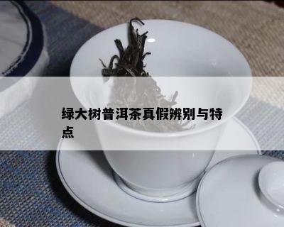 绿大树普洱茶真假辨别与特点