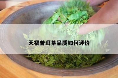 天福普洱茶品质如何评价