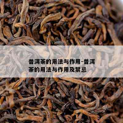 普洱茶的用法与作用-普洱茶的用法与作用及禁忌