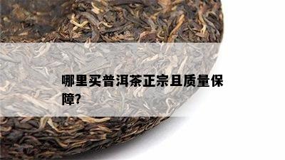 哪里买普洱茶正宗且质量保障？