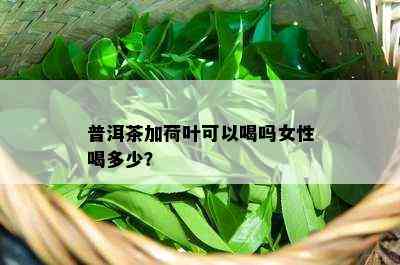 普洱茶加荷叶可以喝吗女性喝多少？