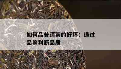 如何品普洱茶的好坏：通过品鉴判断品质