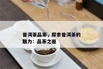 普洱茶品茶，探索普洱茶的魅力：品茶之道