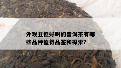 外观丑但好喝的普洱茶有哪些品种值得品鉴和探索？