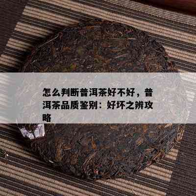 怎么判断普洱茶好不好，普洱茶品质鉴别：好坏之辨攻略