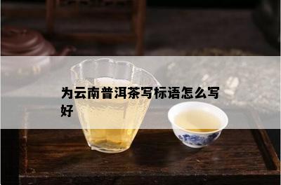 为云南普洱茶写标语怎么写好