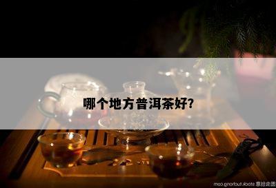 哪个地方普洱茶好？