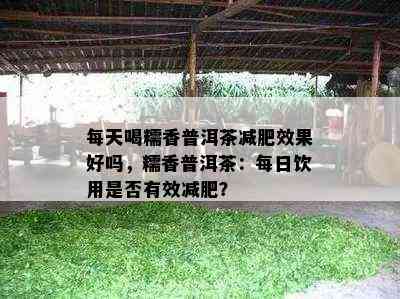 每天喝糯香普洱茶减肥效果好吗，糯香普洱茶：每日饮用是否有效减肥？