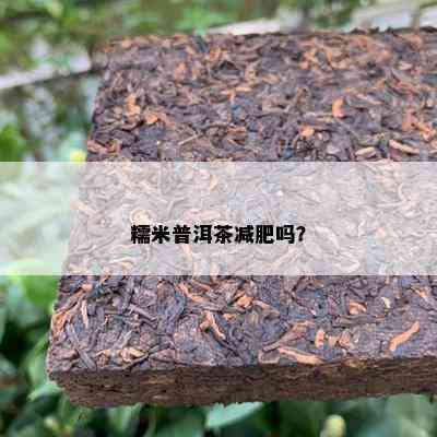 糯米普洱茶减肥吗？