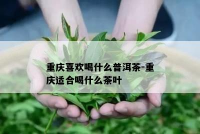 重庆喜欢喝什么普洱茶-重庆适合喝什么茶叶