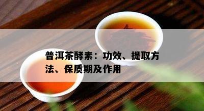 普洱茶酵素：功效、提取方法、保质期及作用