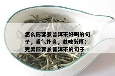 怎么形容煮普洱茶好喝的句子，香气扑鼻，滋味醇厚：完美形容煮普洱茶的句子