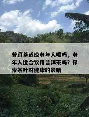 普洱茶适应老年人喝吗，老年人适合饮用普洱茶吗？探索茶叶对健康的影响