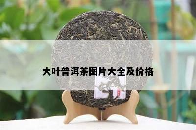 大叶普洱茶图片大全及价格