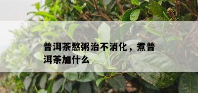 普洱茶熬粥治不消化，煮普洱茶加什么