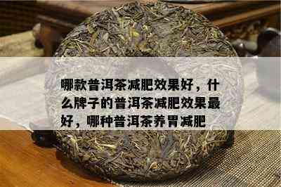 哪款普洱茶减肥效果好，什么牌子的普洱茶减肥效果更好，哪种普洱茶养胃减肥