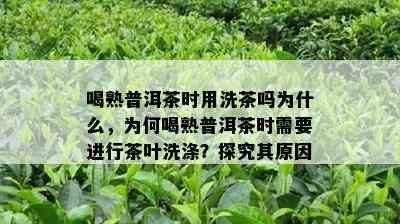 喝熟普洱茶时用洗茶吗为什么，为何喝熟普洱茶时需要进行茶叶洗涤？探究其原因