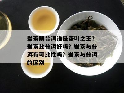 岩茶跟普洱谁是茶叶之王？岩茶比普洱好吗？岩茶与普洱有可比性吗？岩茶与普洱的区别