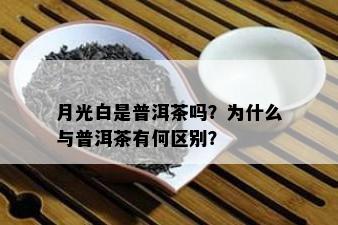 月光白是普洱茶吗？为什么与普洱茶有何区别？