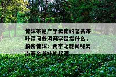 普洱茶是产于云南的著名茶叶请问普洱两字是指什么，解密普洱：两字之谜揭秘云南著名茶叶的起源