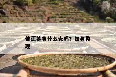 普洱茶有什么大吗？知名整理