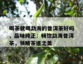 喝茶就喝勐海的普洱茶好吗，品味纯正：畅饮勐海普洱茶，领略茶道之美