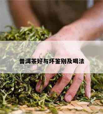 普洱茶好与坏鉴别及喝法