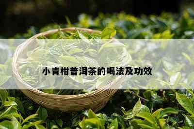 小青柑普洱茶的喝法及功效