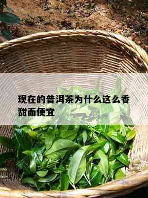 现在的普洱茶为什么这么香甜而便宜