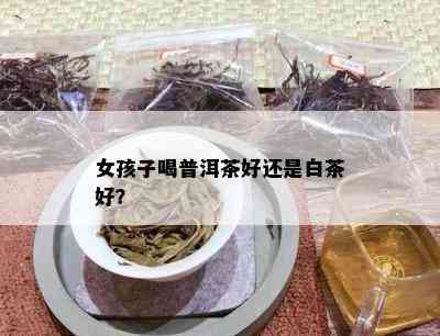 女孩子喝普洱茶好还是白茶好？