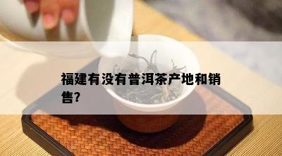 福建有没有普洱茶产地和销售？