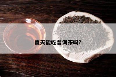 夏天能吃普洱茶吗？