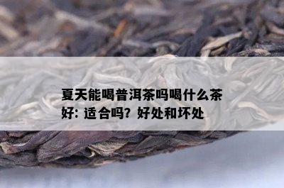 夏天能喝普洱茶吗喝什么茶好: 适合吗？好处和坏处