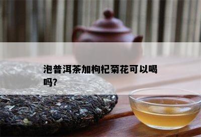 泡普洱茶加枸杞菊花可以喝吗？