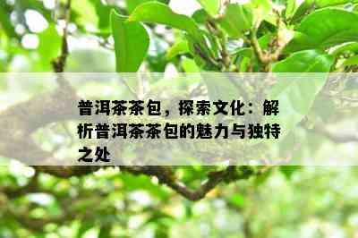 普洱茶茶包，探索文化：解析普洱茶茶包的魅力与独特之处