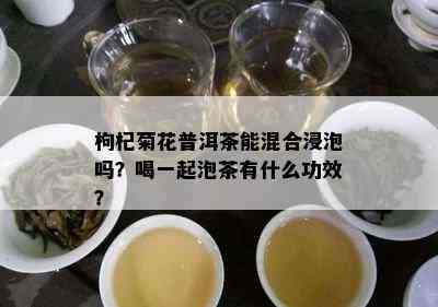 枸杞菊花普洱茶能混合浸泡吗？喝一起泡茶有什么功效？