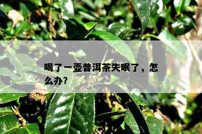 喝了一壶普洱茶失眠了，怎么办？