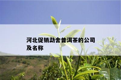 河北促销勐舍普洱茶的公司及名称