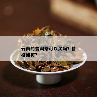 云南的普洱茶可以买吗？价格如何？