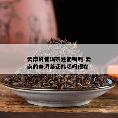 云南的普洱茶还能喝吗-云南的普洱茶还能喝吗现在