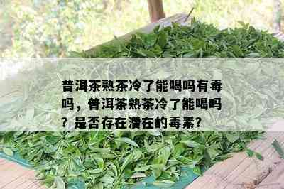 普洱茶熟茶冷了能喝吗有吗，普洱茶熟茶冷了能喝吗？是否存在潜在的素？