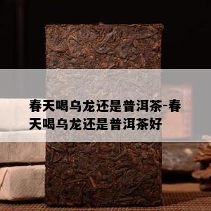 春天喝乌龙还是普洱茶-春天喝乌龙还是普洱茶好