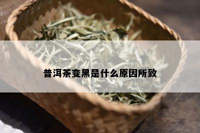 普洱茶变黑是什么原因所致