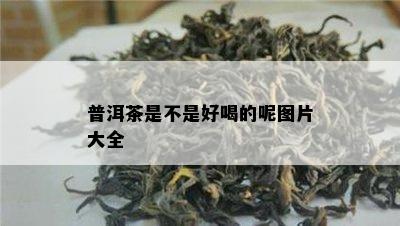 普洱茶是不是好喝的呢图片大全