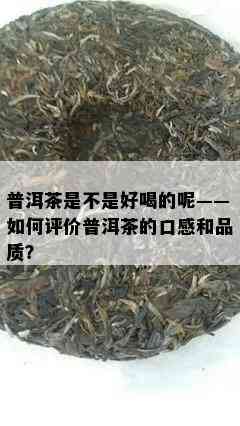 普洱茶是不是好喝的呢——如何评价普洱茶的口感和品质？